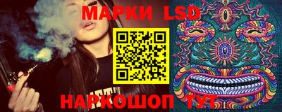 гашик Гусь-Хрустальный