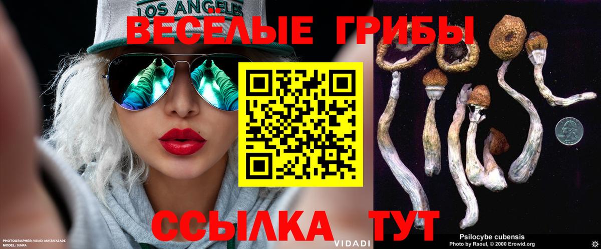 Щёкино  где можно купить наркотик  Вход с VPN  Псилоцибиновые грибы мицелий 