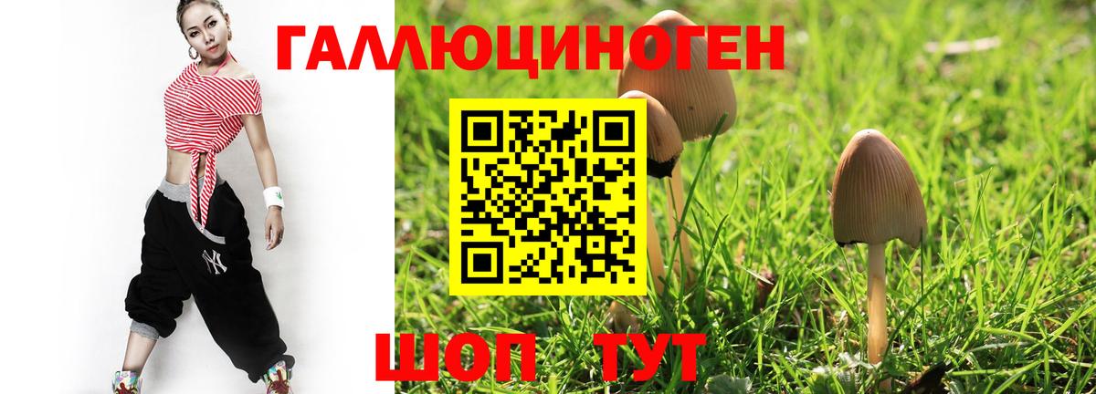 Галлюциногенные грибы мицелий Щёкино