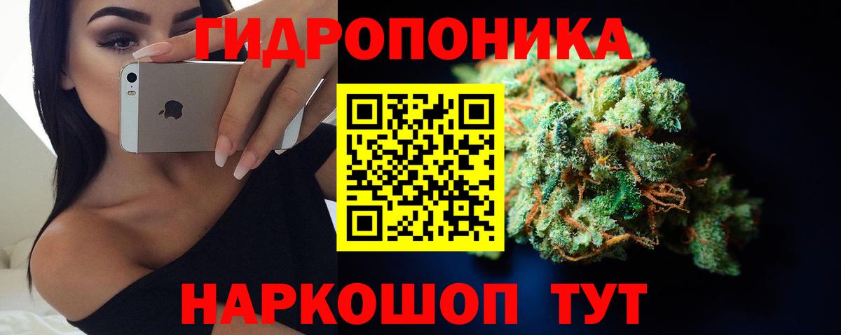 Бошки марихуана Amnesia  Вход с VPN  Каннабис LSD WEED  Щёкино  Бошки марихуана сатива 